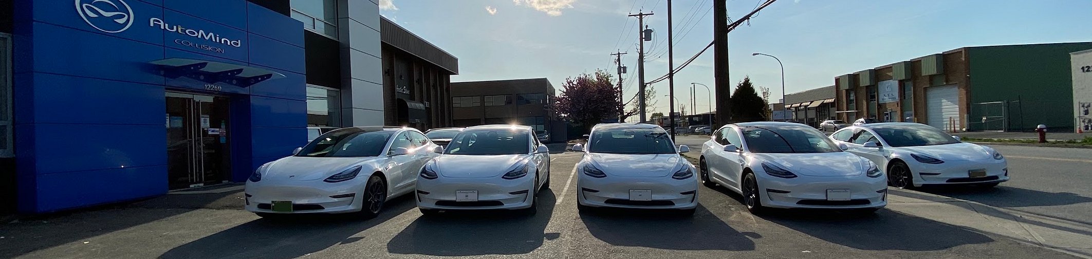 teslas